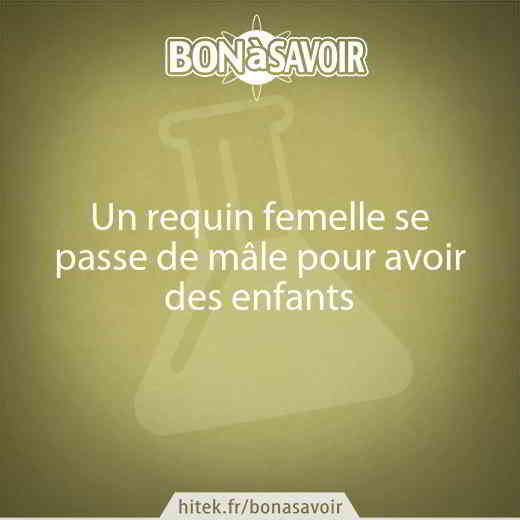 Photo d'illustration de l'article